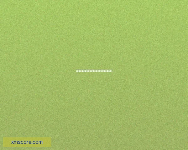 熊猫体育官网全新上线带你畅享精彩赛事与互动体验 熊猫体育官网全新上线带你畅享精彩赛事与互动体验